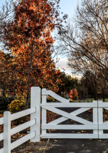 Saltram Rural Timber Gates Painted in White