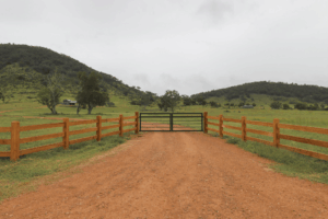 Saltram Rural Post and Rail Fence With steel gate