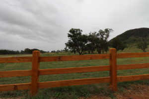 Saltram Rural Cypress Fence finished with natural oil