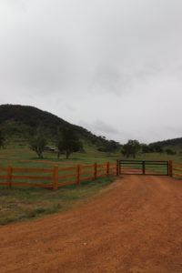 Saltram Rural Post and Rail Fence With steel gate