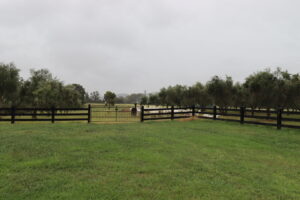 Saltram Rural Post and Rail Fence With steel gate