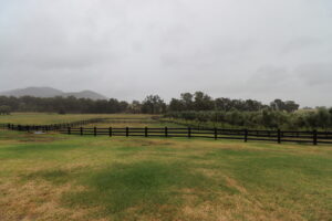 Saltram Rural Cypress Fence stained in Kentucky Horse Black