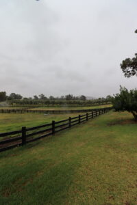 Saltram Rural Cypress Fence stained in Kentucky Horse Black