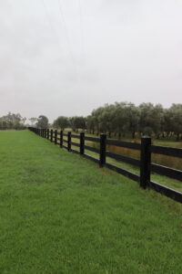 Saltram Rural Cypress Fence stained in Kentucky Horse Black