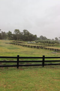 Saltram Rural Cypress Fence stained in Kentucky Horse Black