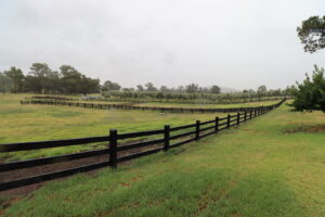 Saltram Rural Cypress Fence stained in Kentucky Horse Black