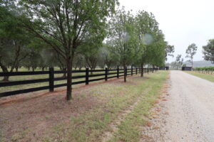 Saltram Rural Cypress Fence stained in Kentucky Horse Black