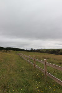 Saltram Rural Cypress Fence Raw Finish