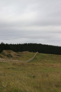 Saltram Rural Raw Cypress Fence