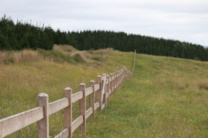 Saltram Rural Cypress Fence Raw Finish