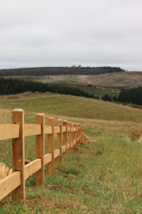 Saltram Rural Cypress Fence Raw Finish