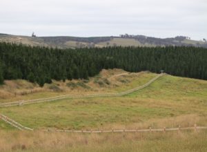 Saltram Rural Cypress Fence Raw Finish