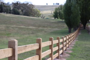 Saltram Rural Cypress Fence Raw Finish
