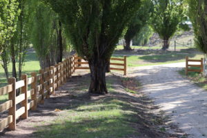 Saltram Rural Cypress Fence Raw Finish