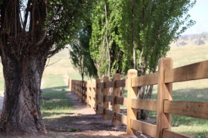 Saltram Rural Cypress Fence Raw Finish