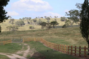 Saltram Rural Cypress Fence Raw Finish
