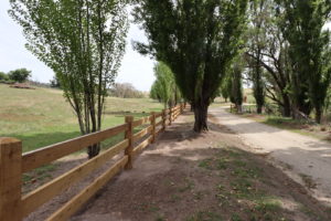 Saltram Rural Cypress Fence Raw Finish