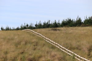 Saltram Rural Cypress Fence Raw Finish