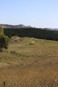 Saltram Rural Stock Shade