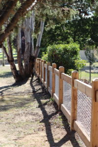 Saltram Rural Classic 3 rail with mesh infill fence