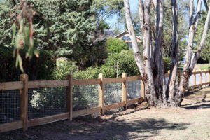 Saltram Rural Classic 3 rail with mesh infill fence