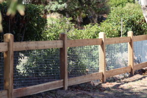 Saltram Rural Classic 3 rail with mesh infill fence