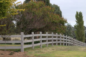 Raw Saltram Rural Premium Cypress Fence