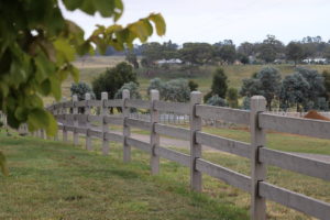 Raw Saltram Rural Premium Cypress Fence