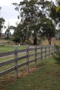 Raw Saltram Rural Premium Cypress Fence
