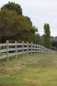Raw Saltram Rural Premium Cypress Fence