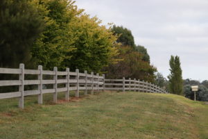 Raw Saltram Rural Premium Cypress Fence