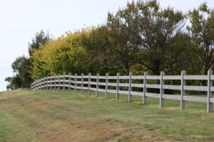 Raw Saltram Rural Premium Cypress Fence