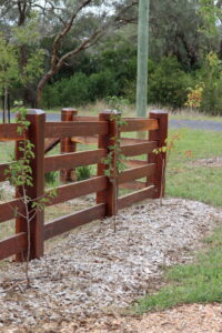 Premium Australian IronBark - Natural timber oil - 4 rail - morticed