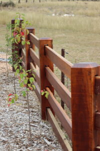 Premium Australian Iron Bark - Natural timber oil - 4 rail - morticed