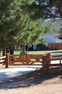 Premium Australian Cypress - Barossa Style - Finished with Natural timber oil - 150 x 150 posts