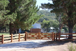 Premium Australian Cypress - Barossa Style - Finished with Natural timber oil - 200 x 200 posts