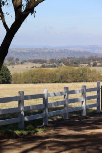 Saltram Rural Cypress Fence - White