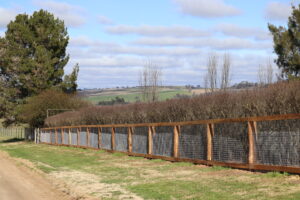 Raw Saltram Rural Round Post Ironbark Fence