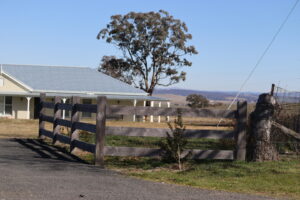 Premium Australian Cypress - Raw Finish - 3 rail - morticed - 150 x 150 posts