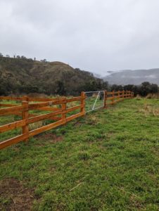 Saltram Rural Post and Rail Fence With steel gate
