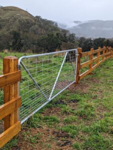 Saltram Rural Post and Rail Fence With steel gates