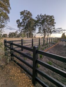 Saltram Rural Cypress Fence - Kentucky Horse Black
