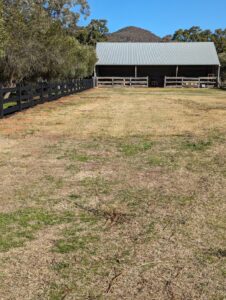 Saltram Rural Cypress Fence - Kentucky Horse Black