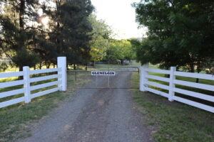 Saltram rural post and rail fence painted in white
