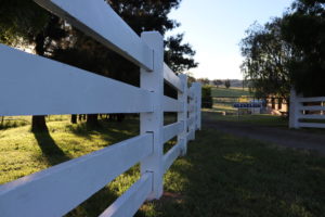Saltram rural post and rail fence painted in white