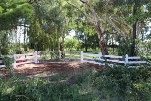 Premium Australian Cypress - Finished with White Weathershield from DULUX paint - 3 rail - morticed - 150 x 150 posts