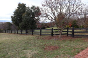 Saltram Rural Cypress Fence stained in Kentucky Horse Black