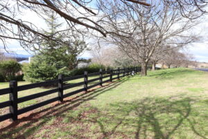 Saltram Rural Cypress Fence stained in Kentucky Horse Black