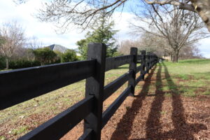 Saltram Rural Cypress Fence stained in Kentucky Horse Black