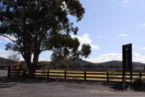 Saltram Rural Cypress Fence stained in Kentucky Horse Black